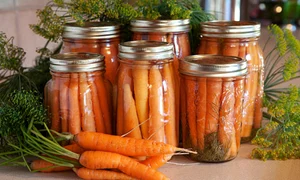 castraveti murati istock jpg