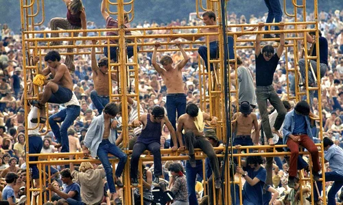 Proiecții speciale la TIFF 2019 jpeg