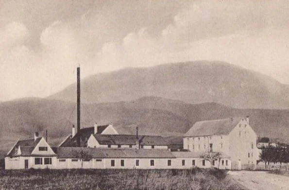 Fabrica de articole de lemn „Christel” Holzwarenfabrik din Codlea, în perioada interbelică (© iMAGO Romaniae).