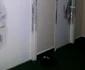 spargere