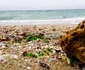 Vama Veche locul magic de la Marea Neagră Sursa foto Facebook Plaja de Carte