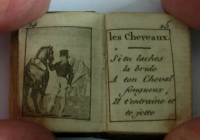 „Le petit fabulist“, volumul miniatural de doar 2,5 cm şi 87 de pagini, ilustrat cu gravuri originale, vedeta unei colecţii uimitoare de liliputuri