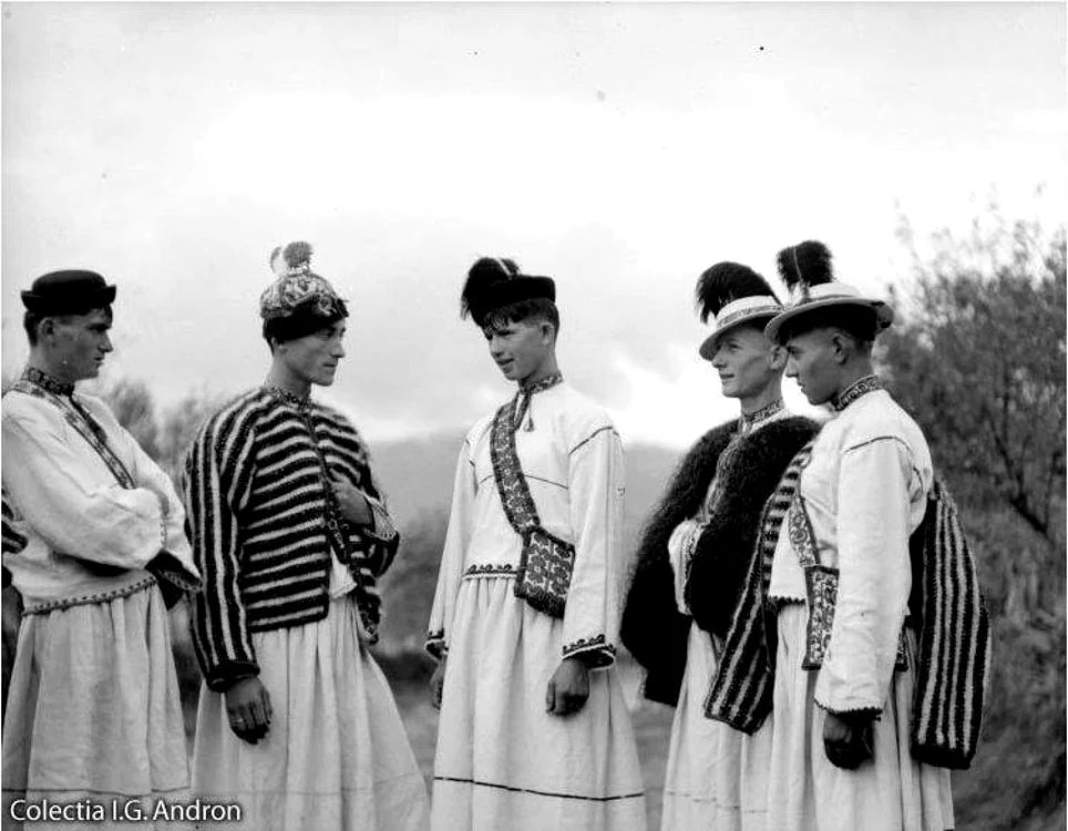 coconi oseni