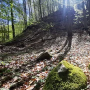 Așezarea Pustiosu Foto Daniel Guță (16) jpg