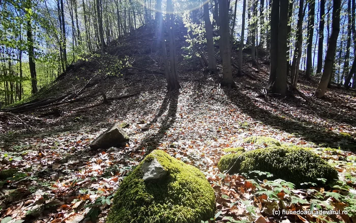 Dealul Pustiosul, locul unui fost sanctuar dacic. Foto: Daniel Guță. ADEVĂRUL