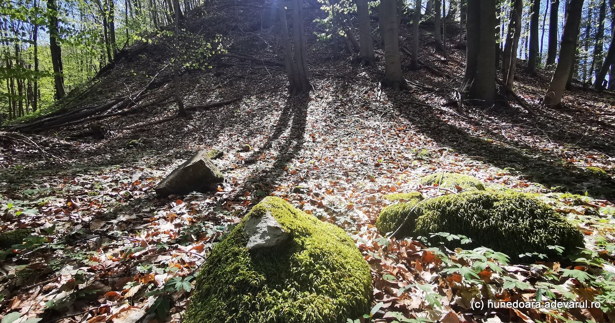 Enigmele sanctuarului de la Pustiosu, de pe Via Transilvanica. Locul tainic al dacilor, lângă fostele mine de uraniu