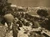 historia ro undefined jpeg