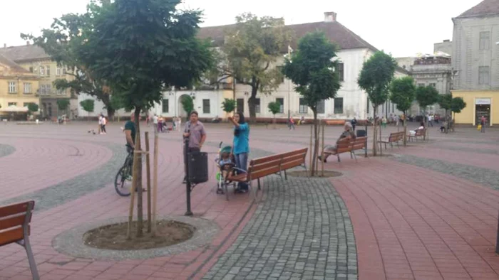 Ştefan Cojocnean face ordine în Piaţa Libertăţii FOTO Ştefan Both