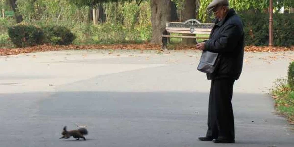 Parcul Herastrau