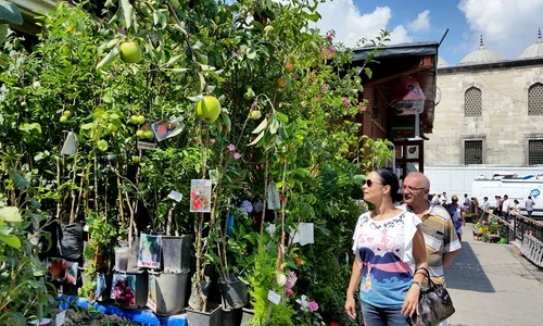 10347472 936690129689945 7999278386358649013 n jpeg