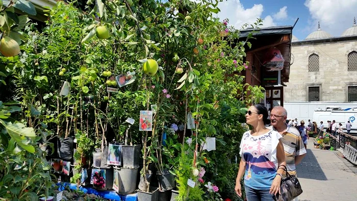 10347472 936690129689945 7999278386358649013 n jpeg