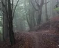 Locul natal al lui Arsenie Boca, unde ar fi fost și casa lui Foto Daniel Guță ADEVĂRUL (5) JPG