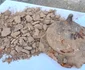 Un scut vechi de 1.800 de ani, cu rămășițele incinerate ale unui războinic vandal, descoperit în Polonia 