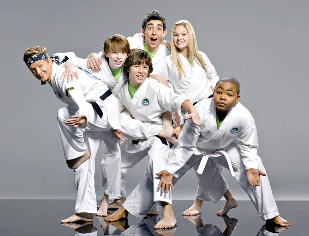 
    Serialul “Bătăuşii Wasabi” de la postul tv Disney  Channel a strâns mai mulţi  telespectatori în faţa micilor  ecrane, chiar dacă este  un produs de nişă (FOTO: DISNEY)  