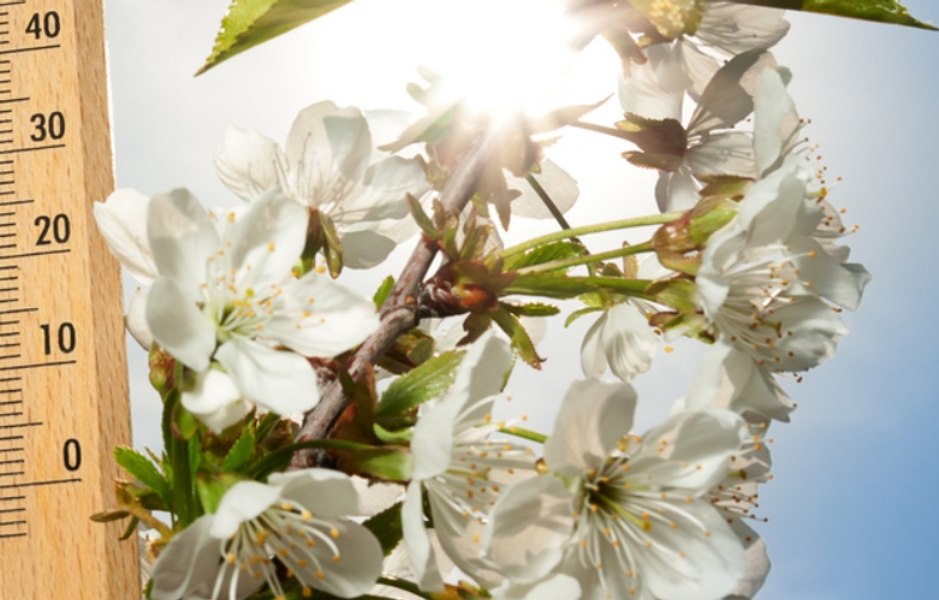 A fost actualizată prognoza pentru Florii și Paște. Cum va fi vremea în următoarele patru săptămâni