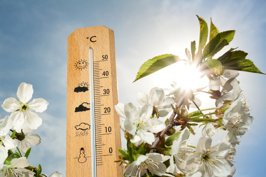 Vremea de Florii: Continuă să se încălzească. La cât ajung temperaturile