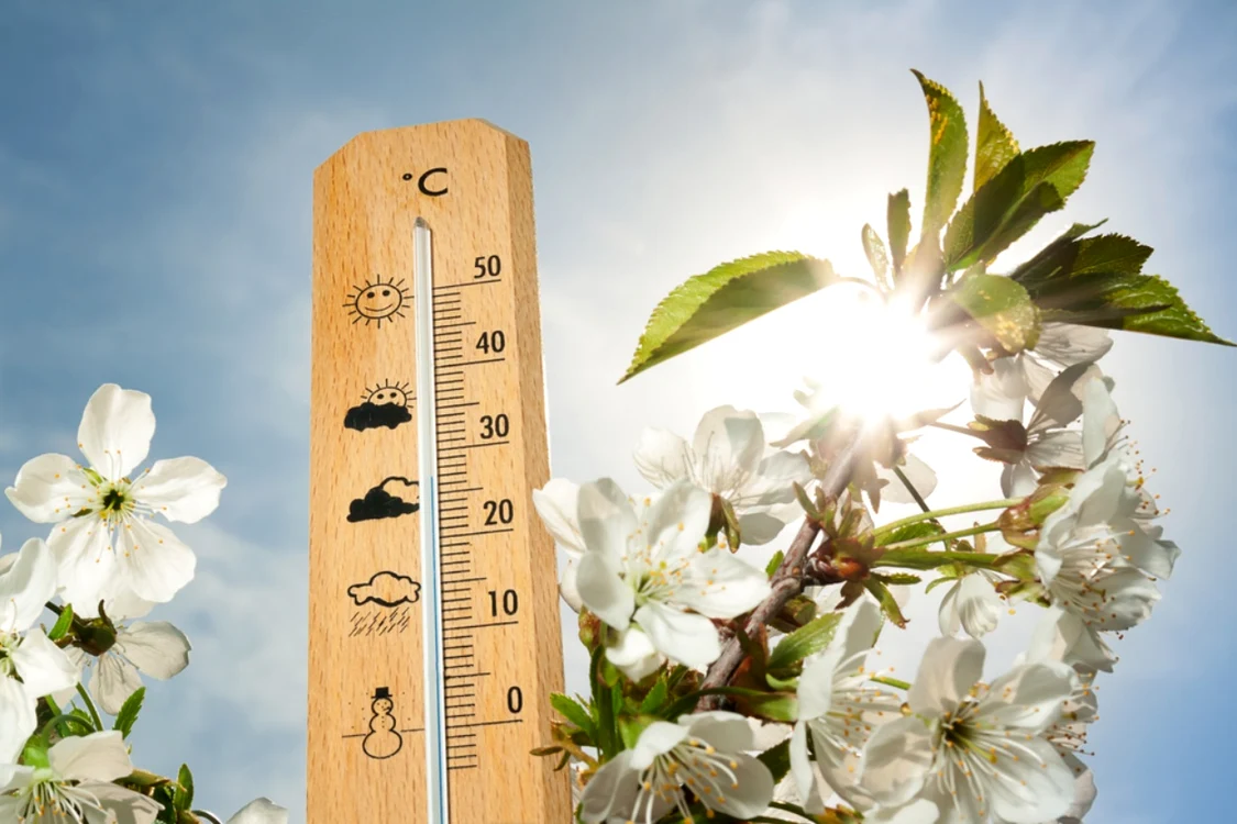Vremea se încălzește ușor FOTO: Shutterstock