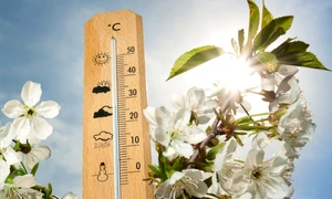 Cum va fi vremea de Florii și Paște 2025, foto Shutterstock jpg