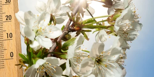 Cum va fi vremea de Florii și Paște 2025, foto Shutterstock jpg