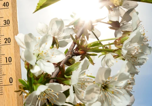 Cum va fi vremea de Florii și Paște 2025, foto Shutterstock jpg