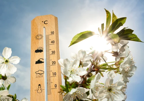 Cum va fi vremea de Florii și Paște 2025, foto Shutterstock jpg