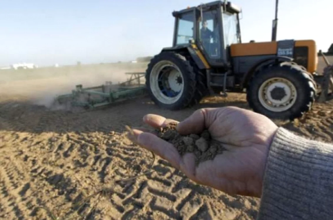 Fermierii susţin că din cauza secetei nu va exista producţie anul acesta Foto:Arhiva