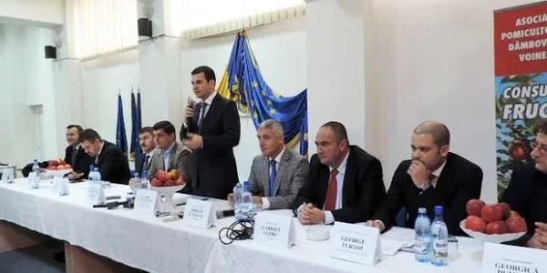 daniel constantin