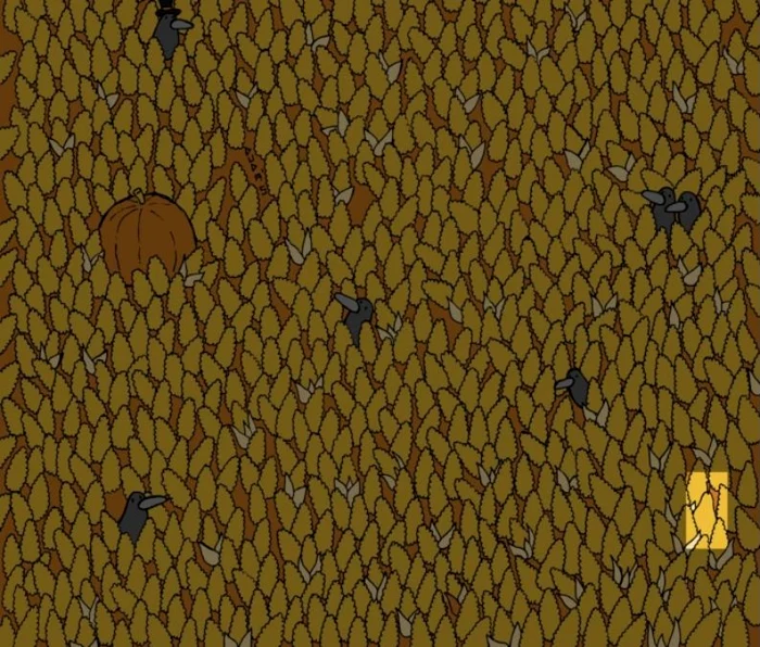 Rezolvarea provocării / foto: Dudolf