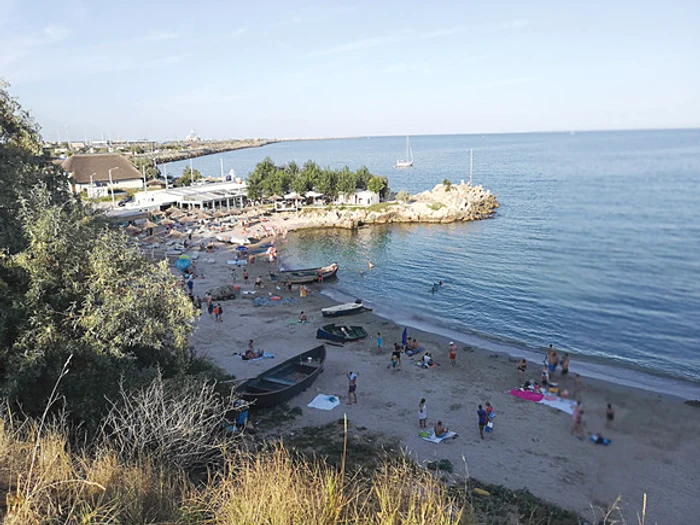 
    „Golfuleţele de la Marea Neagră pot fi afectate”, consideră biologul Popescu MirceniFoto: Click!  