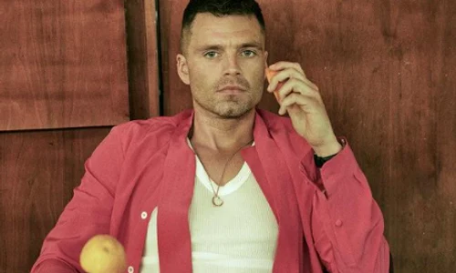 sebastian stan png