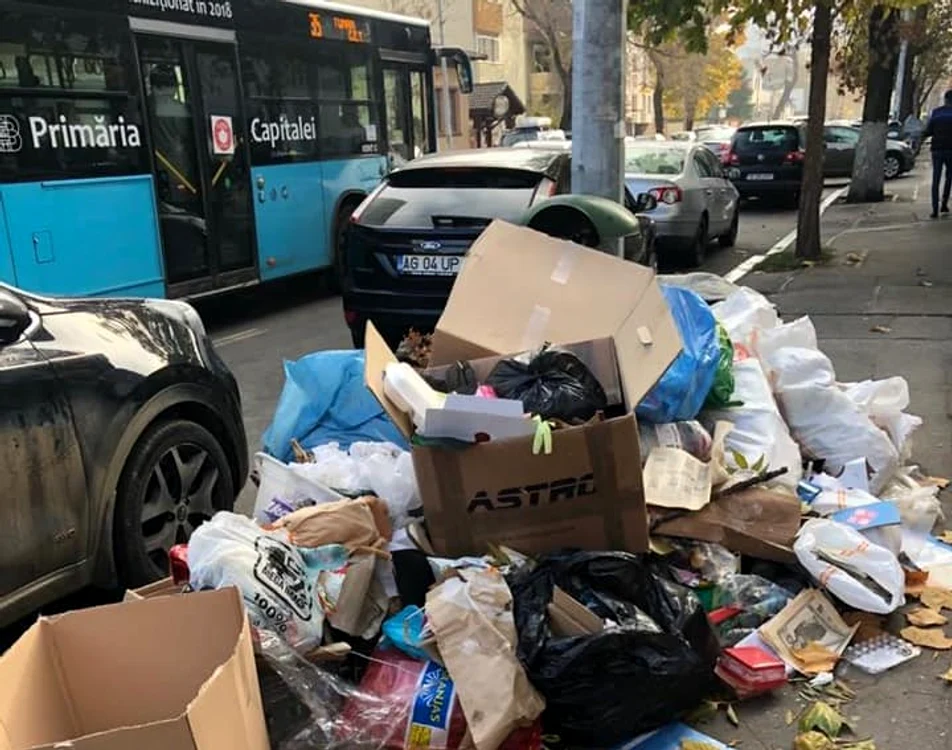 Criza gunoaielor trenează de luni bune în sectorul 1, spre disperarea locuitorilor