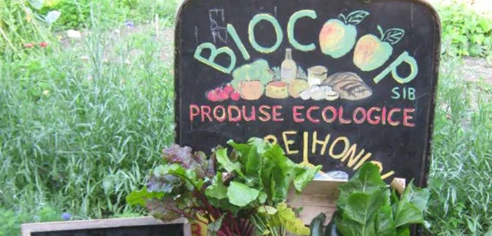 Produse ecologice din România