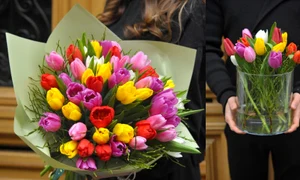 1 flori 8 martie jpg jpeg