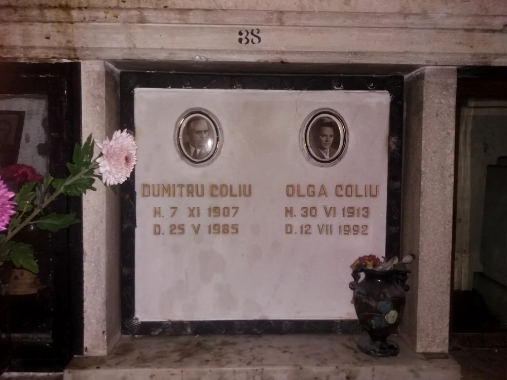 cenusa1