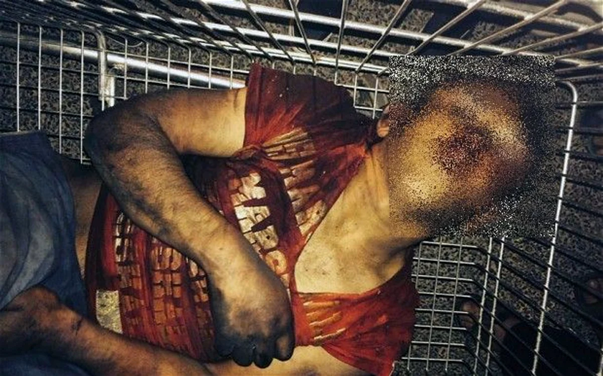 
    Băiatul bătut a fost găsit într-un cărucior de supermarketFoto: The Telegraph  