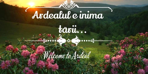 welcome to ardeal foto