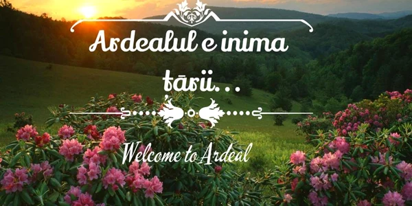 welcome to ardeal foto