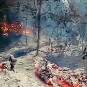 incendiu padure tulcea captura video FB Romsilva png