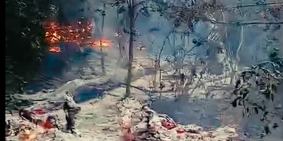 incendiu padure tulcea captura video FB Romsilva png