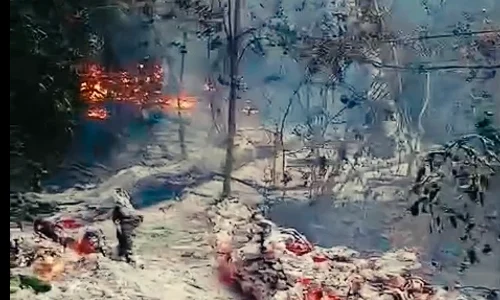 incendiu padure tulcea captura video FB Romsilva png