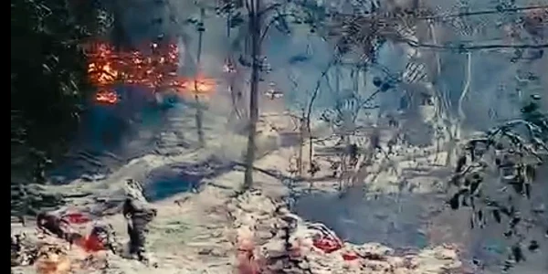incendiu padure tulcea captura video FB Romsilva png