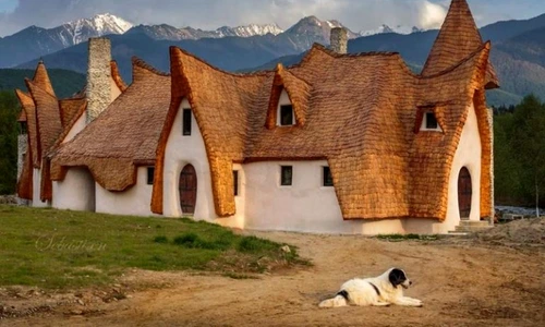 1 70394 original jpg jpeg