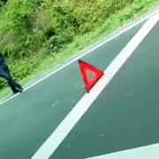 urs omorat masina jpg