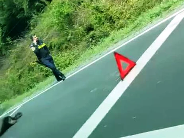 VIDEO Un urs a fost lovit mortal de două mașini pe DN 1. Circulaţia rutieră a fost afectată