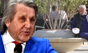 cub ilie nastase png