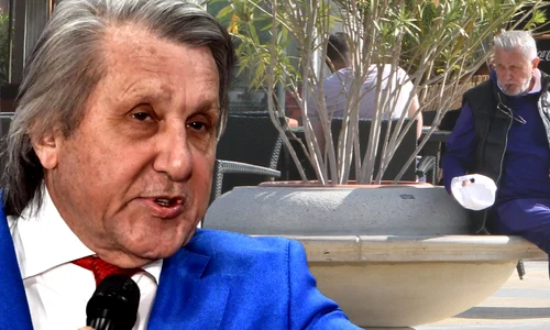cub ilie nastase png