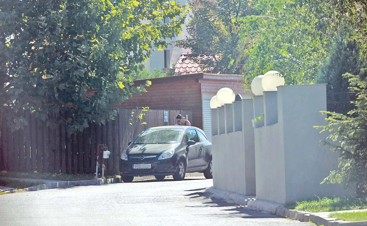 Aceasta este căsuța din Pipera unde vedeta adăpostește păsărele, cățeluși și peștișori de toate soiurile