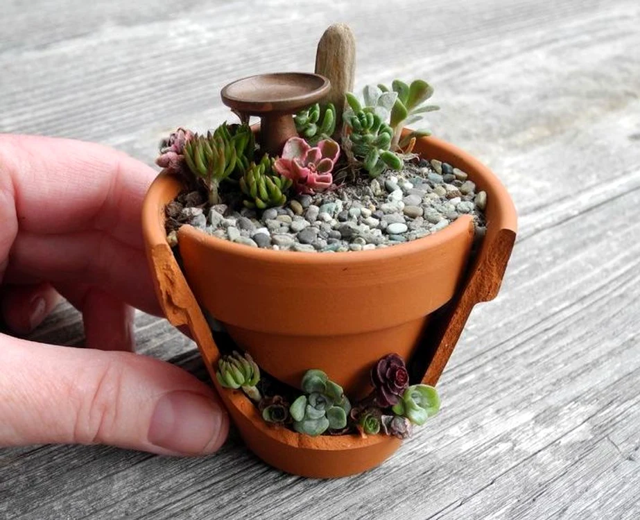 49a003410a2d5ac1d0a22c0760c9dd69  mini gardens miniature gardens jpg jpeg