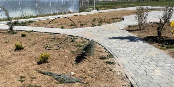 braduti distrusi racari
