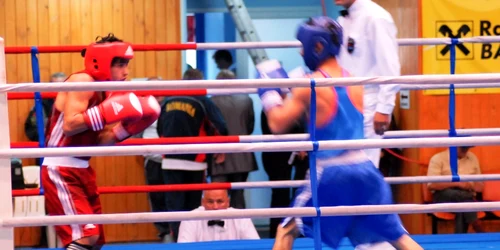 Patru titluri de campioni pentru băcăuani